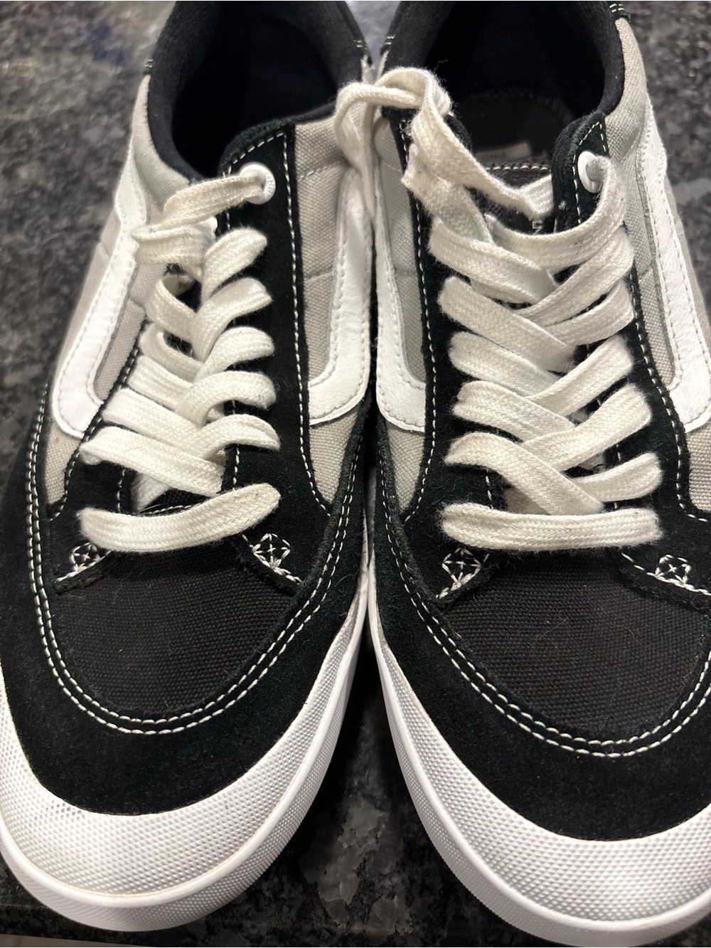 Vans Black and White Berle Pro nation Low-Top Sneakers